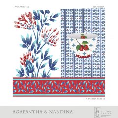 Agapantha-Nandina